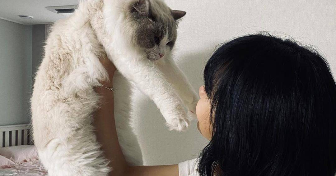 Instagram.com/lalalalisa_m